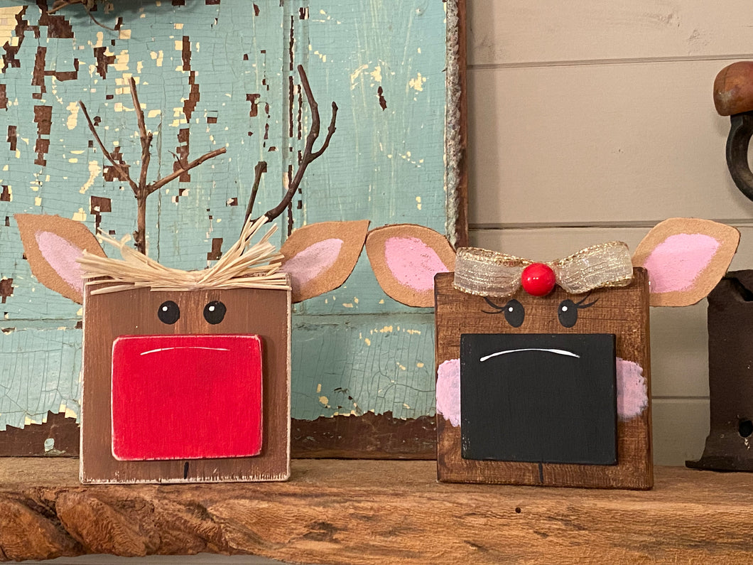 Mini Reindeer Kit