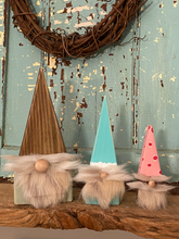 Load image into Gallery viewer, Gnomes (Set of 3)
